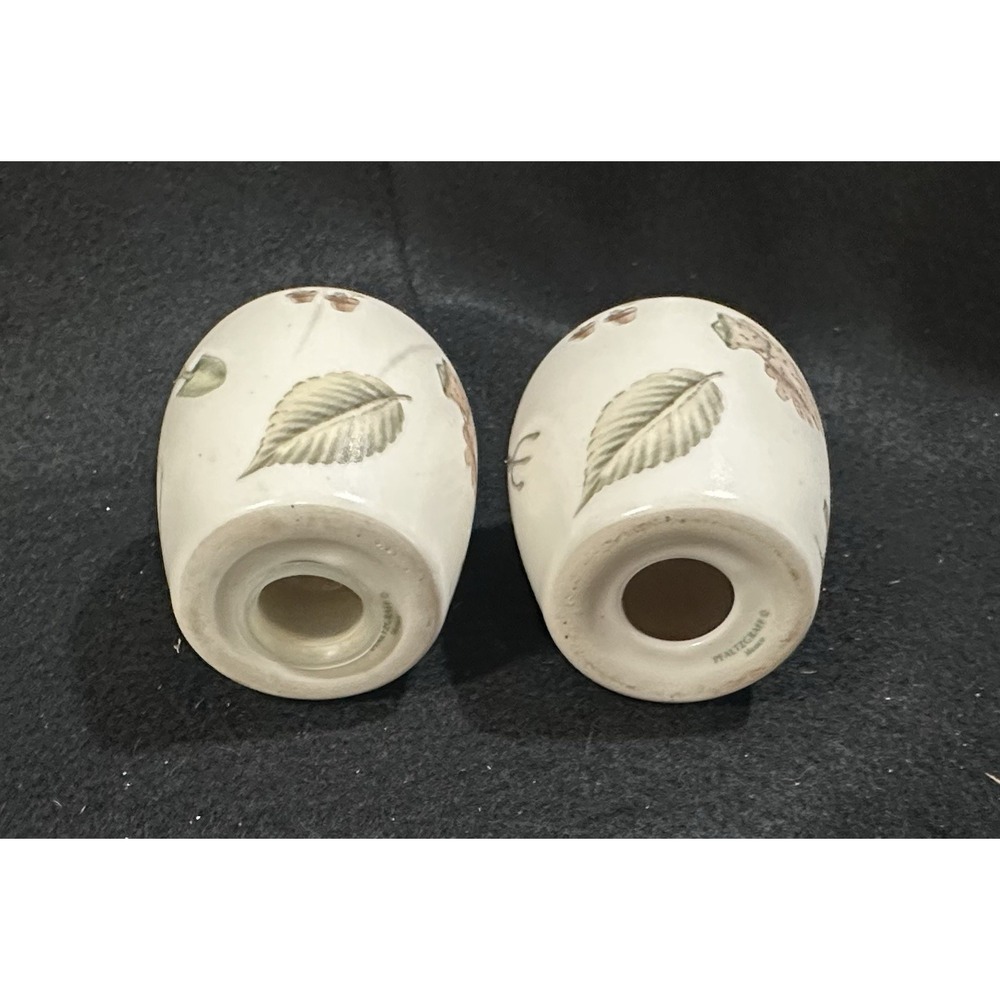 PFALTZGRAFF Naturewood Portfolio Salt and Pepper Shakers Mexico - Picture 3 of 4